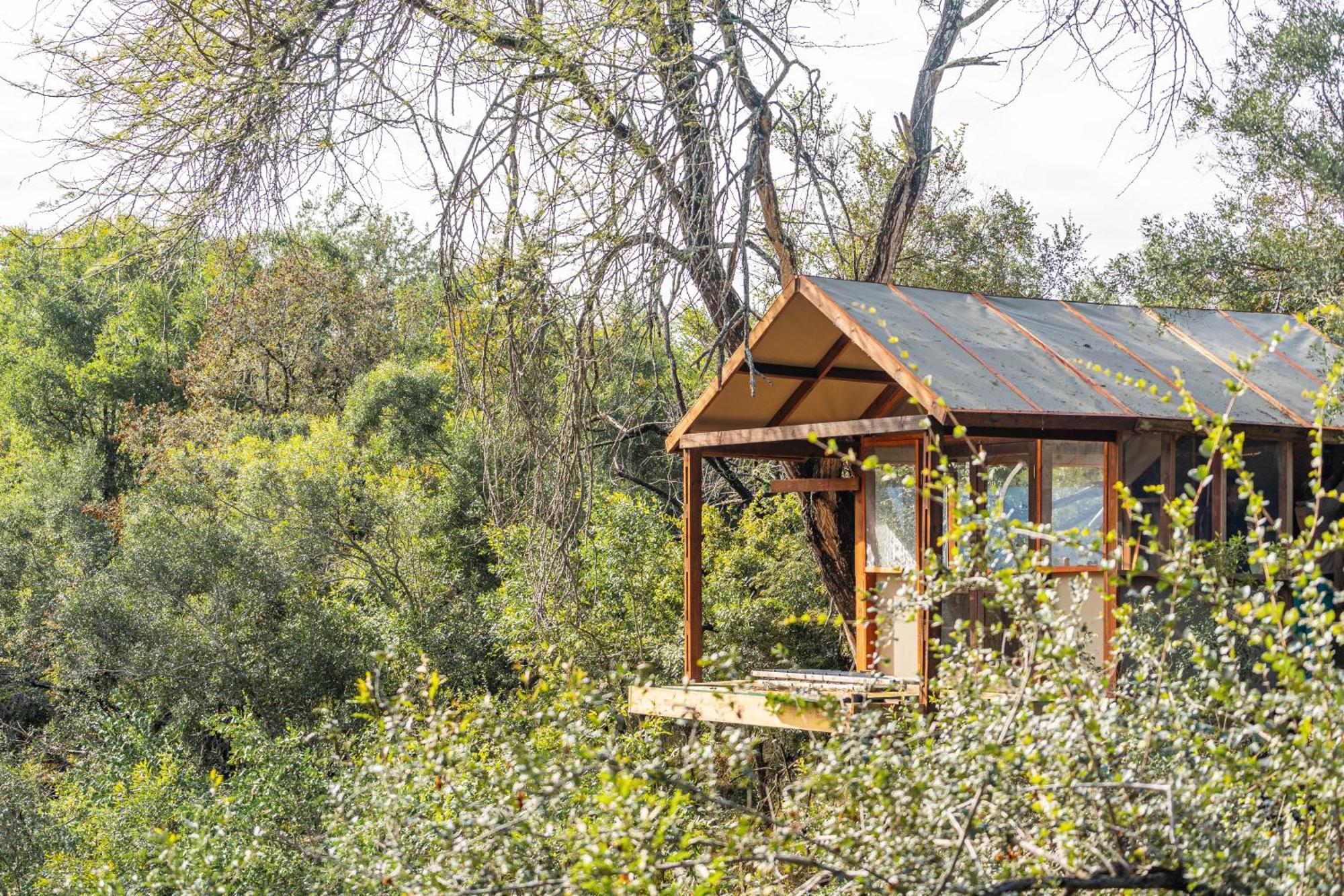 Ndzhaka Tented Camp محمية مانيليتي للطرائد المظهر الخارجي الصورة